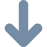 Long Arrow Down Xs SVG Icon